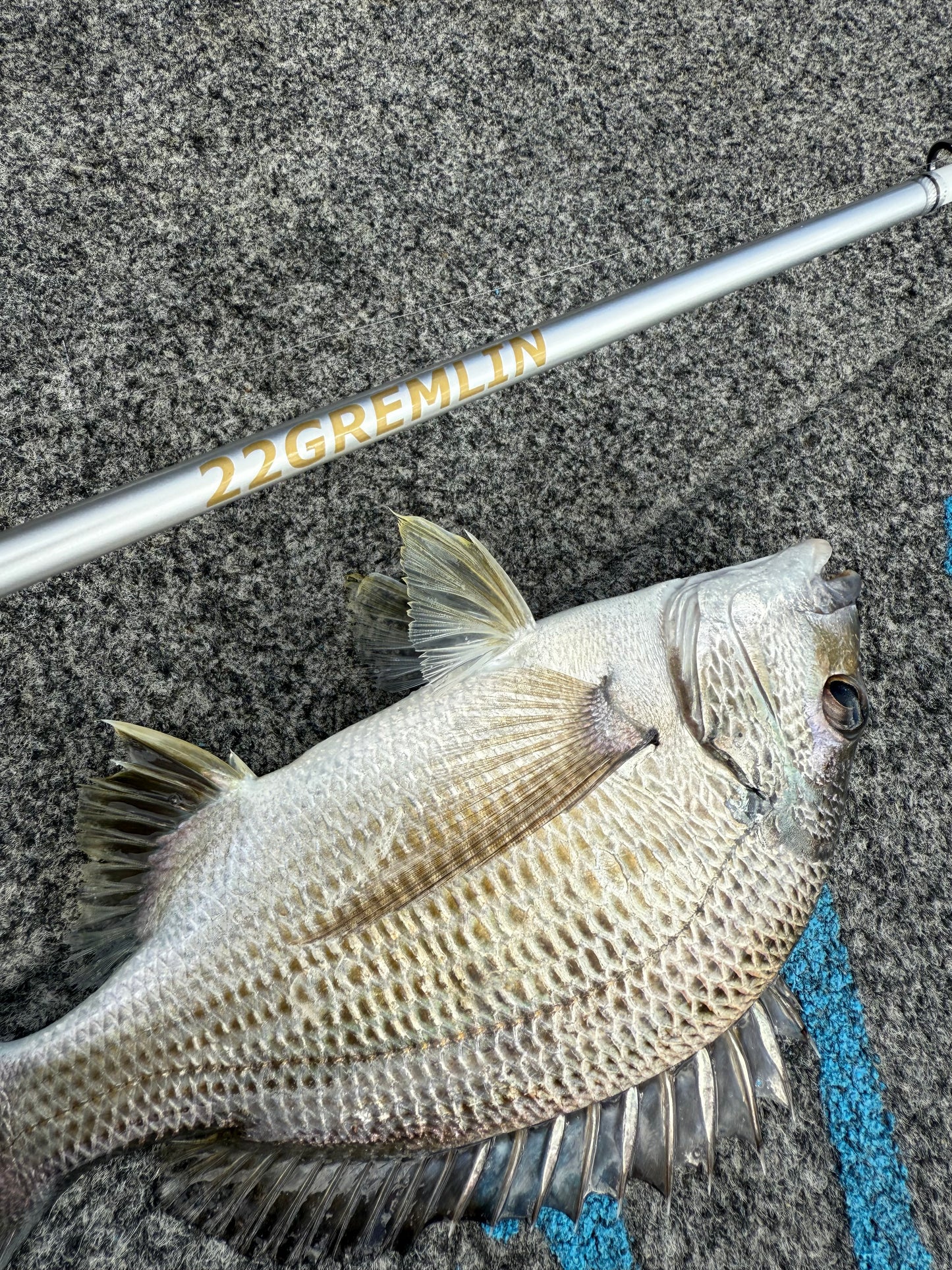 22Gremlin GREM1 1-5kg